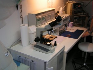 Labormikroskop